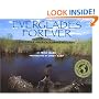 Everglades Forever: Restoring America's Great Wetland
