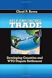 Self-enforcing Trade: Developing Countries and Wto Dispute Settlement
