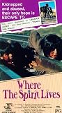 Where the Spirit Lives [VHS]