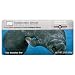 Manatee - Chocolate Rice Crisp, 12 Units / 3.2 oz