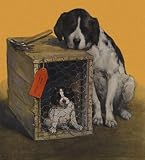 Sad Mother Dog with Puppy in Crate - 48