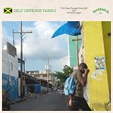 Im Going Through Some Shit / All Fruit Is Ripe [7" VINYL]