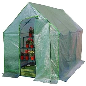 Systems Trading MGH610 Backyard Garden Greenhouse, Green, 6 by 10 Feet