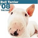 Bull Terrier 2008 Square Wall Calendar (German, French, Spanish and English Edition)