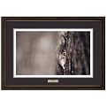 Gray Wolf Framed Art