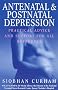 Antenatal And Postnatal Depression: Practical Advice and Support for All Sufferers