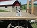 Amish Country Collectible A-frame Barnwood Birdhouse. Old Barn Wood and Tin Provides a Heavenly Home for Your Feathered Friends, While Enhancing Your Country Garden Decor. This Country Birdhouse Makes a Unique Gift Idea for a Bird Lover.
