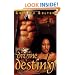 Divine Destiny (Noire Passion)