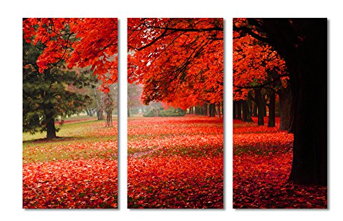 HUGE - 90x60 - Red Autumn in the park - 3 Panel Split (Triptych) Canvas Print. (30x60 each panel). Gallery Wrap Stretched on 1.5" setretcher bars.