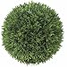10 Inch Indoor Artificial Podocarpus Topiary Ball