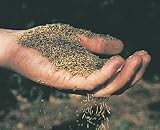 Canada Green Grass Lawn Seed Mixture 4 LBS Bag