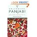 Colloquial Panjabi: The Complete Course for Beginners (Colloquial Series)