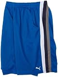 Puma Boys 8-20 Formstripe Mesh Short