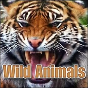 ape to mp3 converter free software