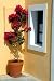 Greece Island Flower Pot - 24
