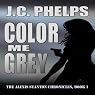 Color Me Grey: The Alexis Stanton Chronicles, Book 1