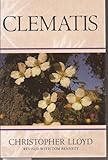 Clematis