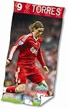 Torres Liverpool Badetuch 75x150cm TOP und NEU!
