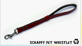 Childrens Toyshop  Sporting Goods : Scrappy Pets Leather Dog Wristlet (Eco-Friendly)