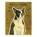 Boston Terrier framed print - John Golden 12x15