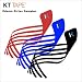 KT Tape Pro Precut Edema Strips - 10-Strip Sampler of 2" x 18" Precut Lymphatic Drainage Strips