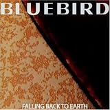 Falling Back to Earth