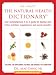 Natural Health Dictionary:Your comprehensive A-to Z guide for healing with herbs, nutrition, supplements, and secret remedies