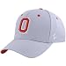 Zephyr Ohio State Buckeyes Gray DH Zfit Hat