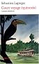 Court voyage �quinoxial : Carnets br�siliens