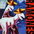 Adios Amigos [Vinilo]