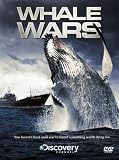 Whale Wars - Series 1 [DVD] [2008]