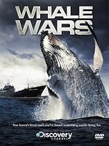 Whale Wars - Series 1 [DVD] [2008]