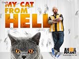 My Cat From Hell: The White Tornado