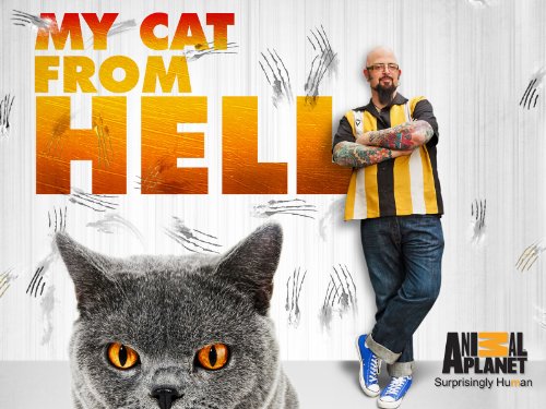 My Cat From Hell - Season 4