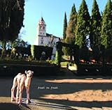 SOGNI DE SOGNI (������ �� ������)