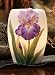 Purple Bearded Iris Night Lamp - Ibis & Orchid Design Collection