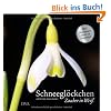 Schneegl�ckchen: Zauber in Wei�. - �ber dreihundert Sorten im Fotoportr�t -