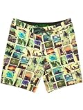 HippyTree Boardshort Transfer Trunk 100% recycled, Boardshorts Grösse:30/1