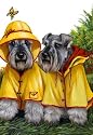Schnauzer Rain Gear Garden Flag