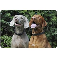 Mousepad, Mauspad Magyar Vizsla, Weimaraner, Jagdhunde
