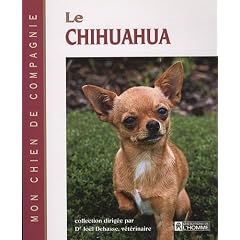 Le chihuahua