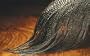Metz Microbarb Dry Fly Saddle Grade #2