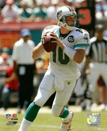 Chad Pennington Miami Dolphins Rolling Out 8x10 Photo