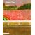 Peter Doig