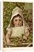 Canvas Prints of Plants/humulus Lupulus from Mary Evans
