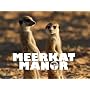 Meerkat Manor Season 1