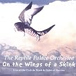 On the Wings of a Skink
