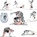 Phenotypes Havoc - Poses-