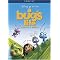 Enjoy Children-Friendly Animations