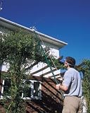 Draper 33855 Telescopic Tress Pruner 2900 mm